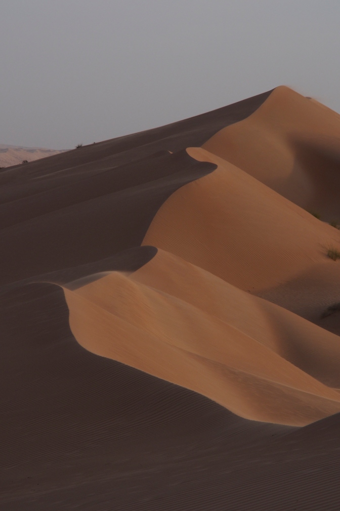 Dunes at Wahiba Sands.