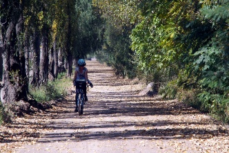 Cycling between wineries in Maipú.