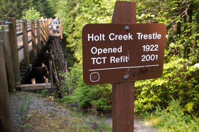 The Holt Creek Trestle is one of several along the Cowichan Valley Trail.