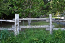Orchard and fence.
